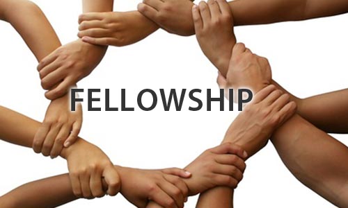 Gopabandhu Fellowship