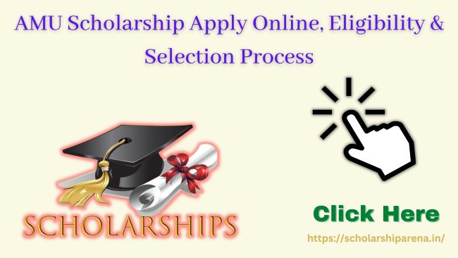 AMU Scholarship Details