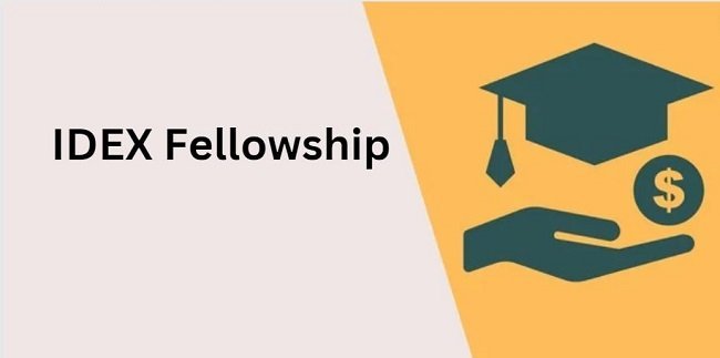 IDEX Fellowship