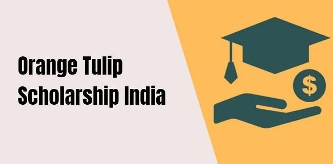 Orange Tulip Scholarship India