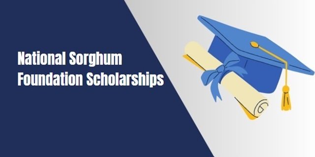 National Sorghum Foundation Scholarships